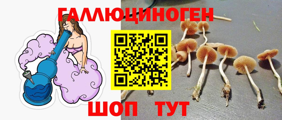 Шарыпово  Галлюциногенные грибы Magic Shrooms  Вход с VPN  Галлюциногенные грибы Cubensis 